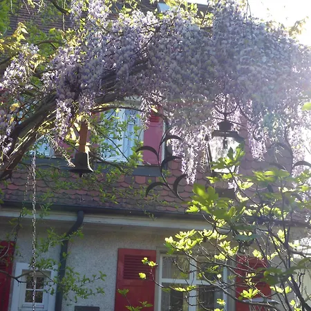 Pension Zur Rose-3